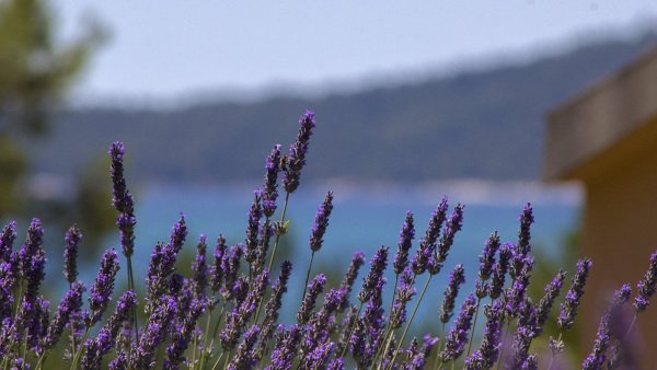 Планшет DEXP Ursus