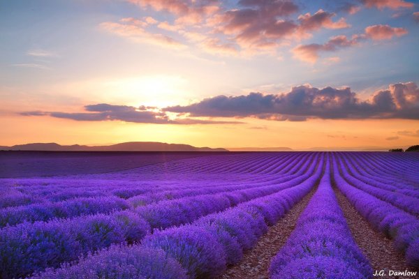 Крым Лаванда горы море