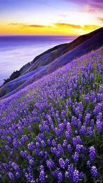 Плато Валенсоль