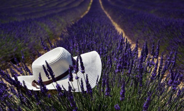 Прованс Альпы Лазурный берег Франция