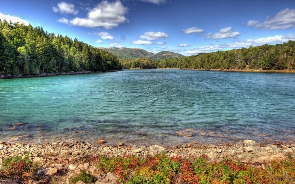 Красивый берег озера