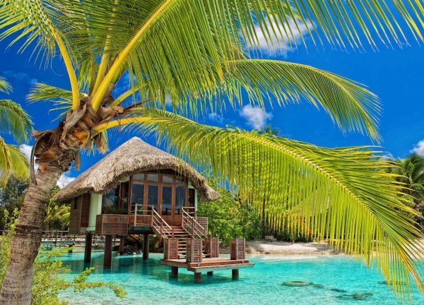 Багамы бунгало