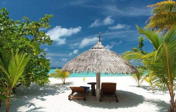 Бунгало тропики