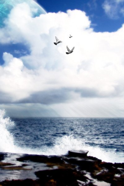 Пара голубей