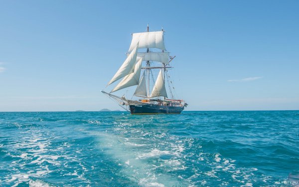 Пальмы море лодка
