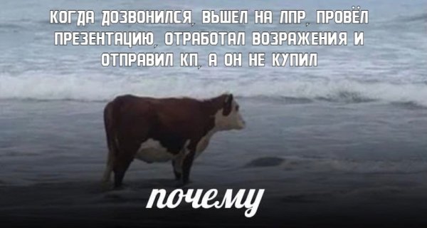 Корова на берегу