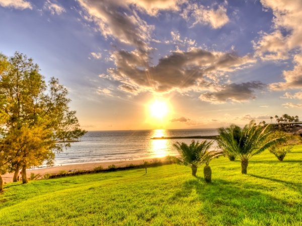 Солнечный день