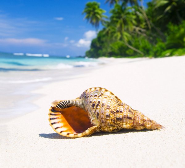 Телевизор Elenberg 32ah4130 31.5"