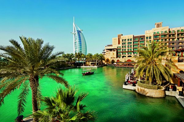 Пальма Абу Даби