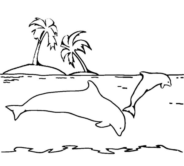 Пальма раскраска для детей