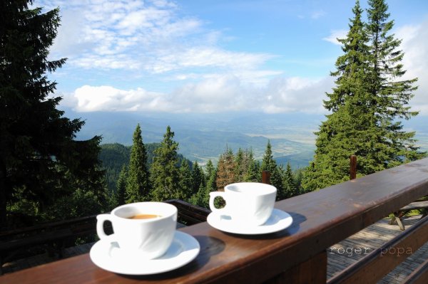 Доброе утро море цветы