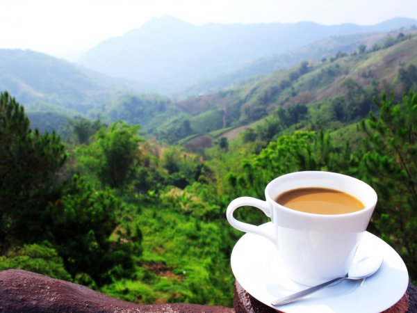 Утро в горах