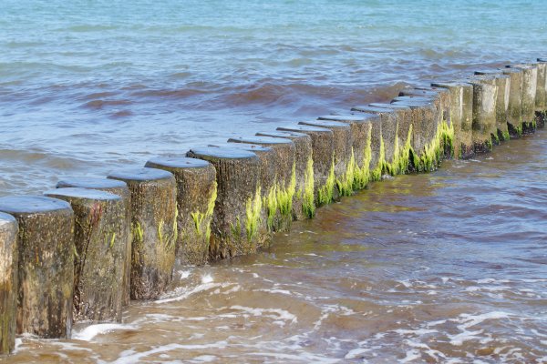 Калининград море волнорезы
