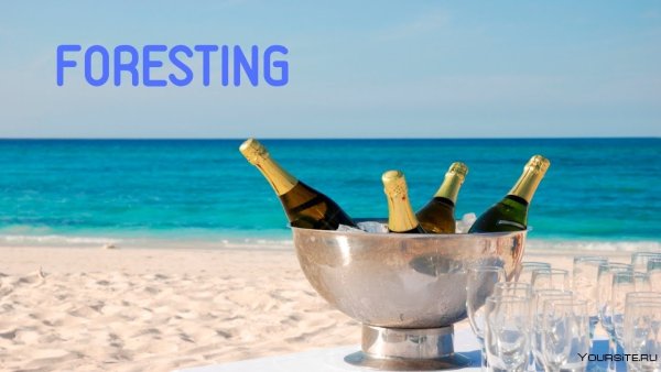 Шампанское на берегу моря