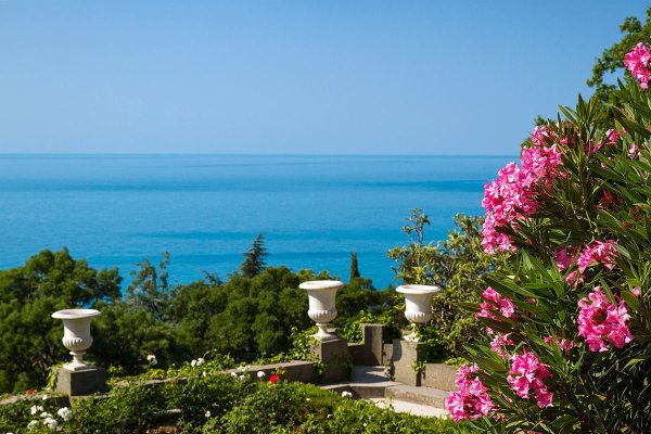 Крым Алупкинский дворец кипарисы