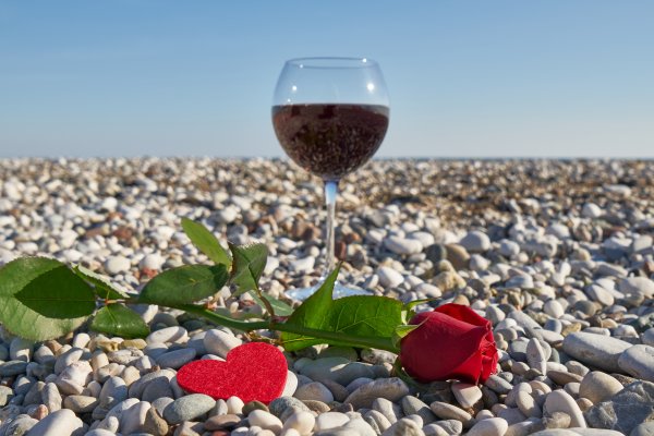 Море вино цветы