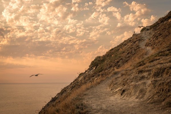 Дорога к морю