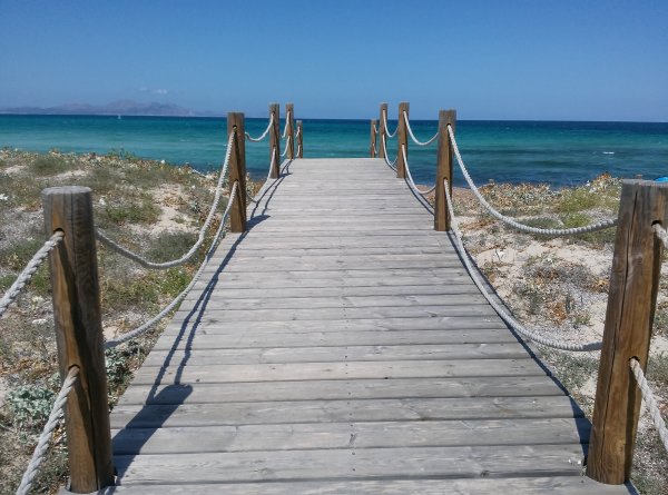 Вдоль берега моря