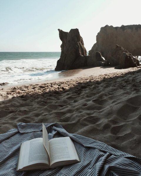Чтение книги у моря