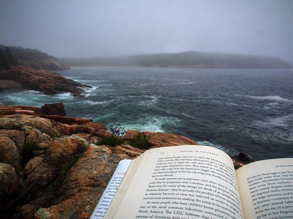 Бокал вина на природе