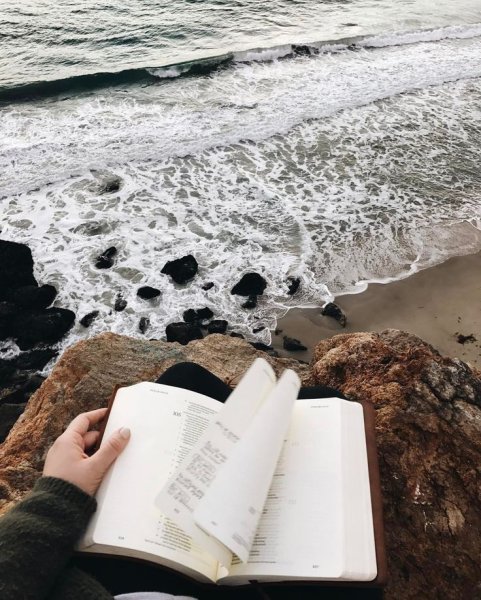 Книга природа