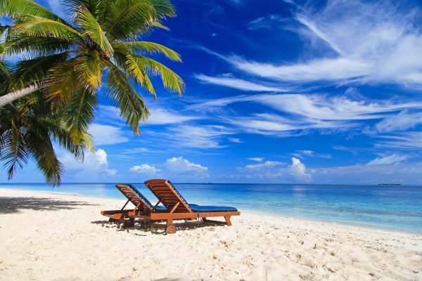 Пляж с пальмами