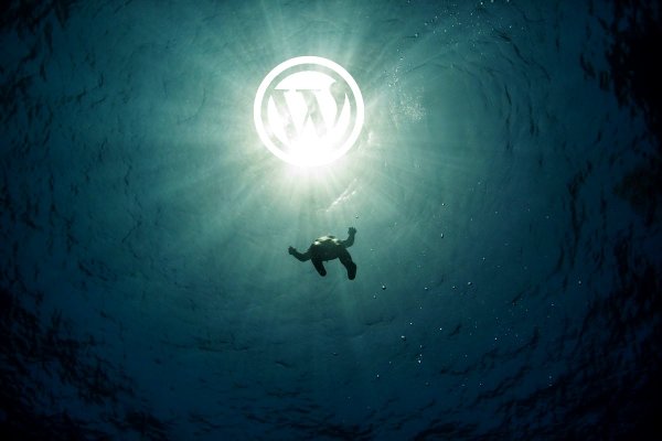 Девушка в воде