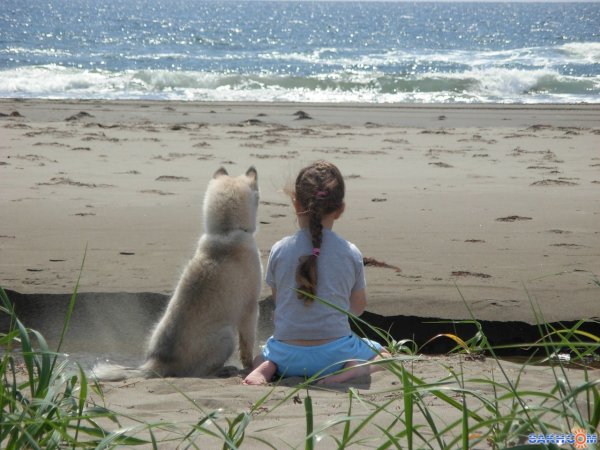 Ольга Герасименко Красноярск
