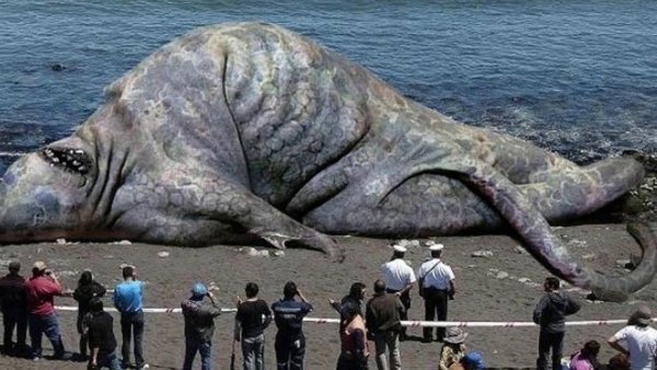 Топ-100 самых огромных монстров в море