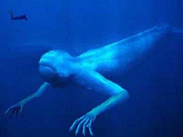 Морское чудовище Нинген