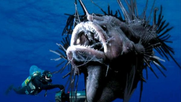 Самые страшные морские чудовища