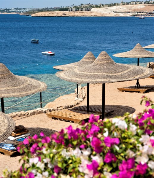 Египет Шарм-Эль-Шейх