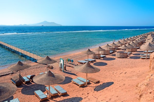 Шарль Эль Шейх