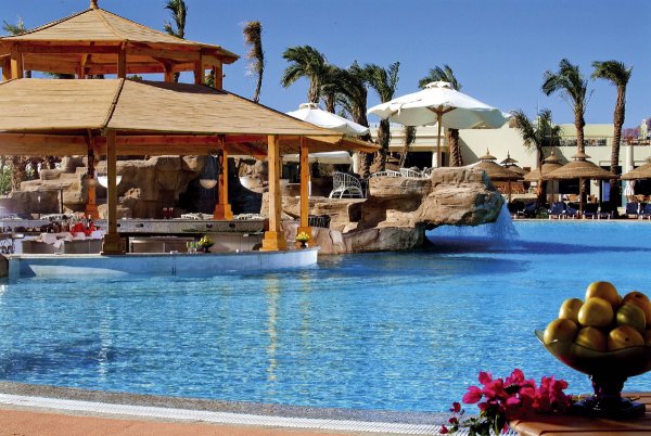 Египет пальмы Шарм-Эль-Шейх