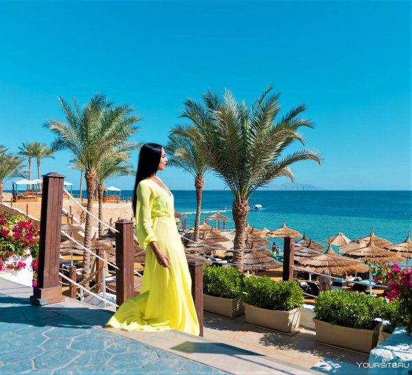 Египет Шарм-Эль-Шейх туристы