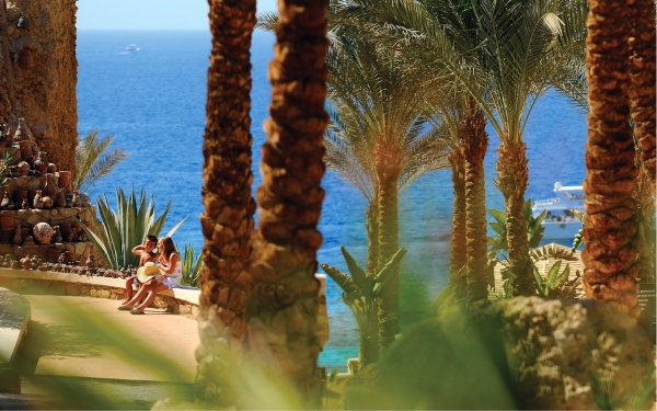 Египет Шарм-Эль-Шейх отель десерт Роуз