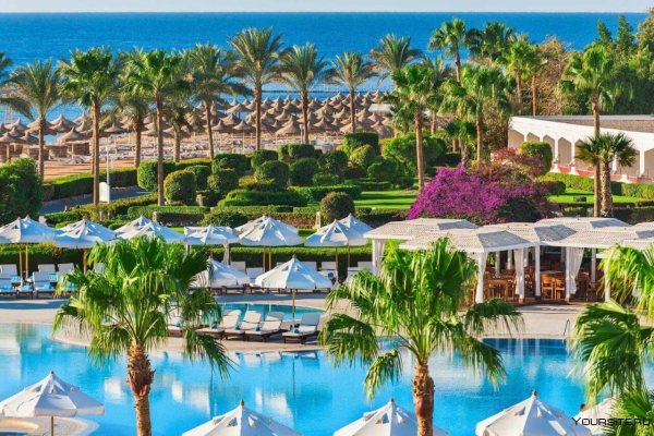 Барон Палас Сахл Хашиш