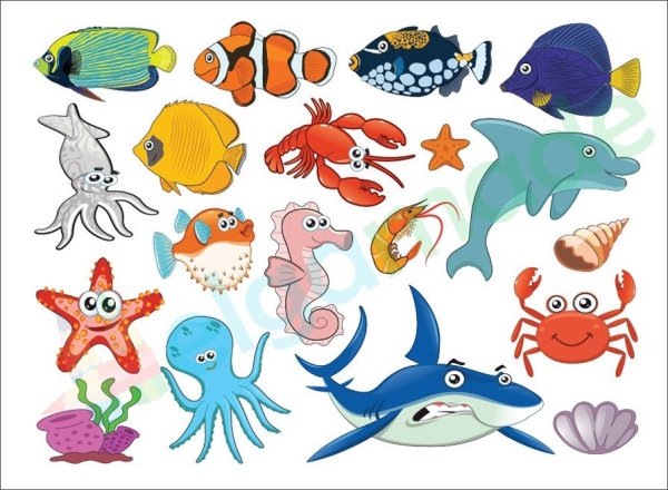 Морские обитатели для детей