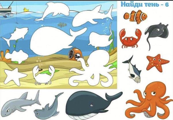 Жители океана для детей