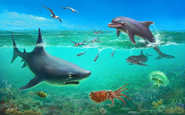 Морские жители для дошкольников