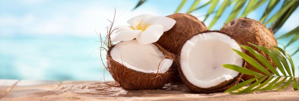 Тропики Кокос