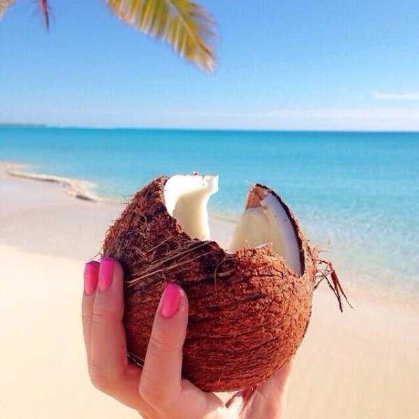 Кокосы на море