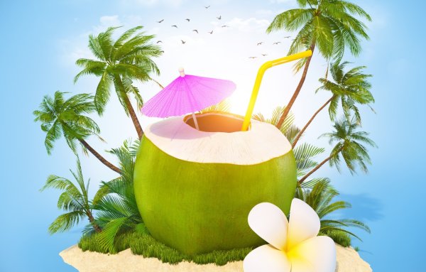 Кокосы пальмы море