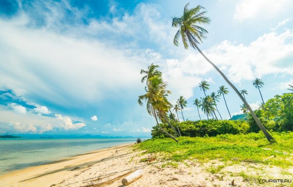 Остров Пальма