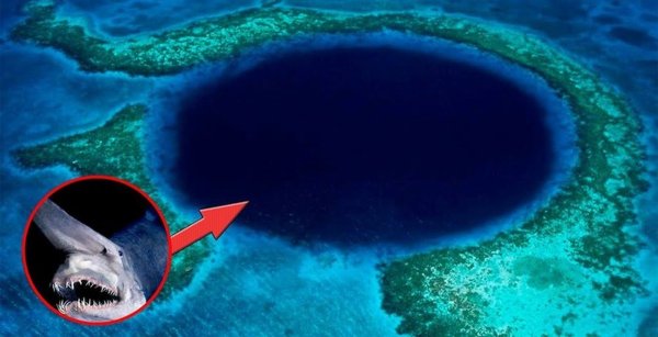 Тихий океан Марианская впадина