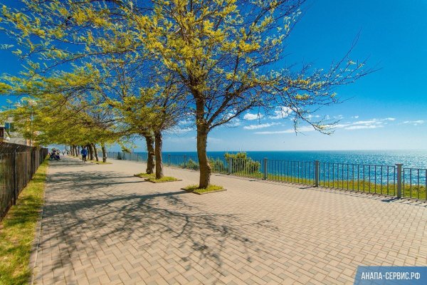 Анапа Витязево природа