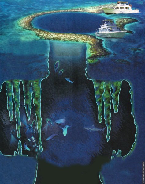 Марианский жёлоб