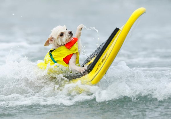 МП студия рамки для вышивки