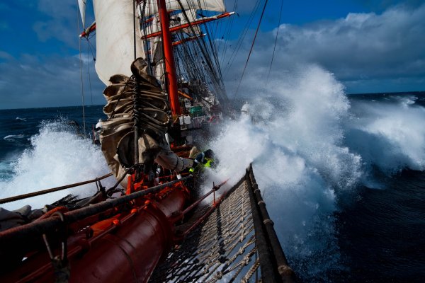 Арбитражные мемы