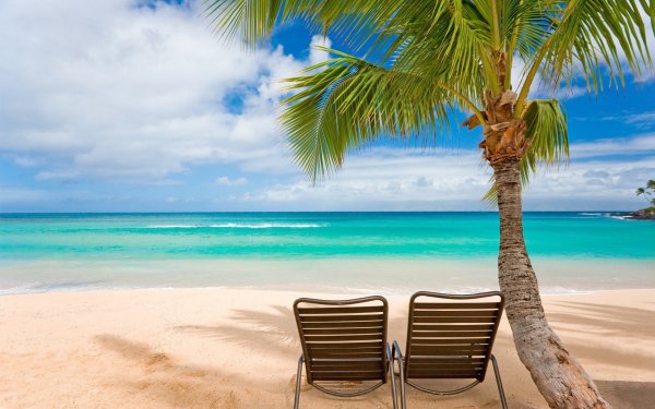 Под пальмой на пляже